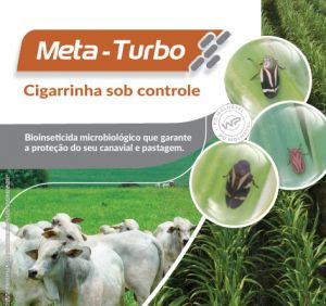 Vittia amplia seu portfólio com lançamento de nova formulação de bioinseticida microbiológico para proteção de canaviais e pastagens