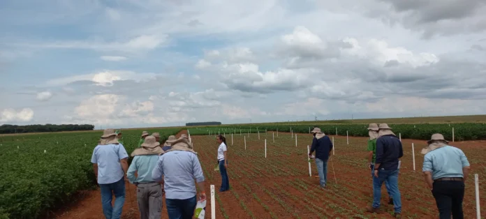 Aline-Deon-pesquisadora-da-Proteplan-mostrando-no-campo-para-partcipantes-do-evento-as-alternativas-de-combinacoes-de-herbicidas-para-a-sojicultora-2-scaled-1