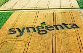 Syngenta amplia seu portfólio de inseticidas e lança solução focada no controle de pragas sugadoras