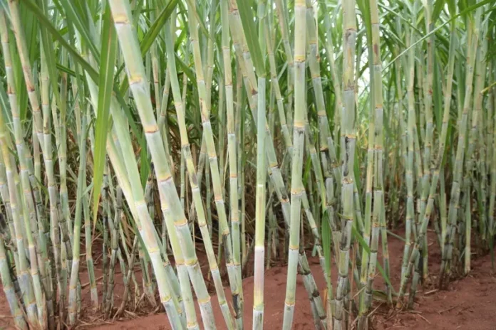 unnamed-2022-11-09T092053.172