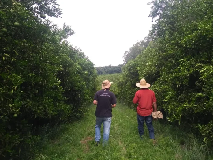 Area-vegetal_Foto-de-Andre-Ebone-5-2