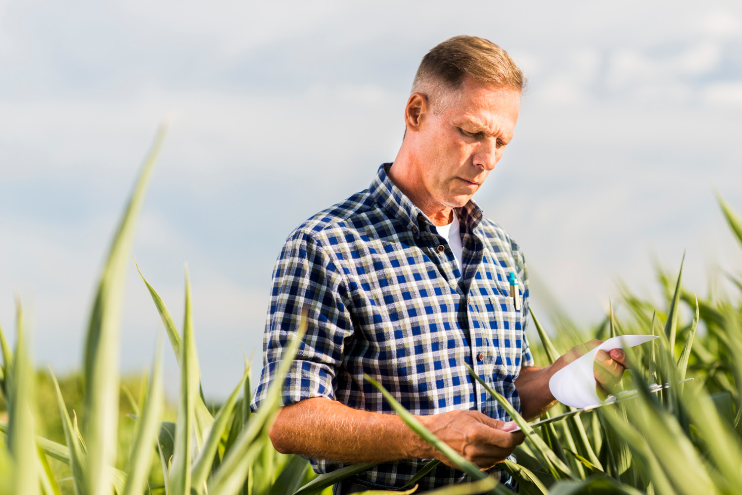 O que muda para o produtor rural com a lei da obrigatoriedade de emissão de NFe