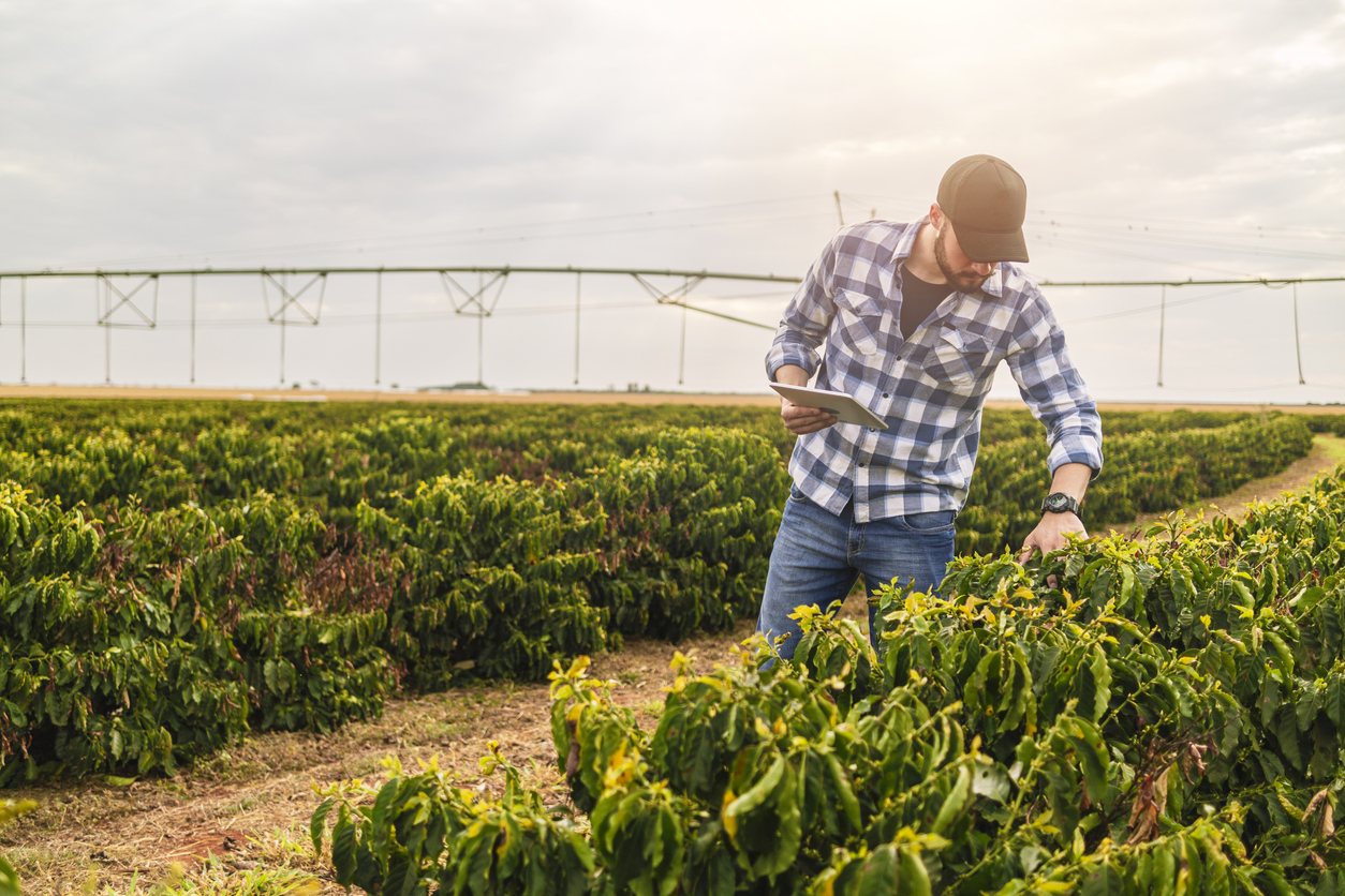 Crescimento no campo: métodos eficazes para melhorar a produtividade agrícola