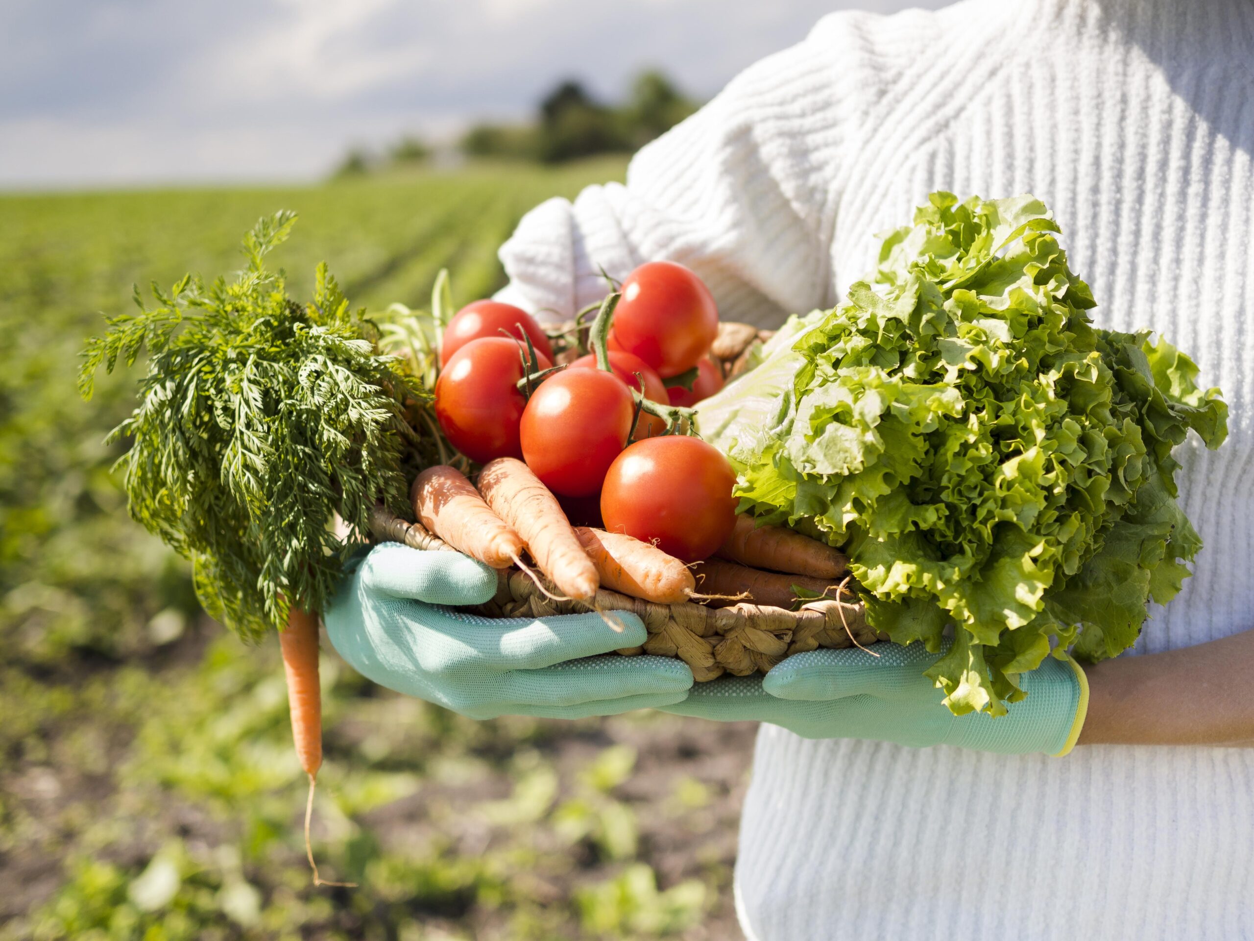 Shopping Estação Goiânia recebe Feira de Agricultura Familiar, Produtos Orgânicos e Artesanato Indígena e Quilombola