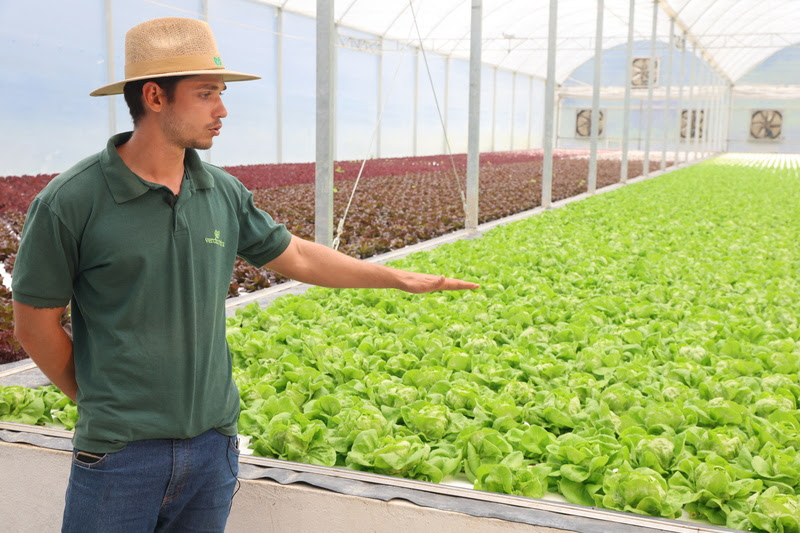 Dia do Engenheiro Agrônomo: inovar é possível e necessário