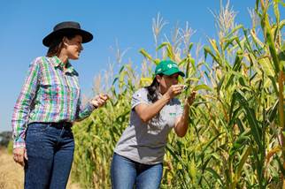 Dia Internacional da Mulher Rural protagonismo feminino avança no agronegócio brasileiro