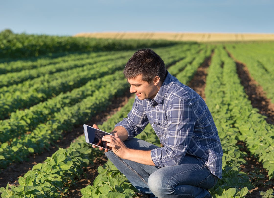 Sol by RZK lança loja virtual para facilitar acesso à serviços de conectividade e inteligência de dados no campo