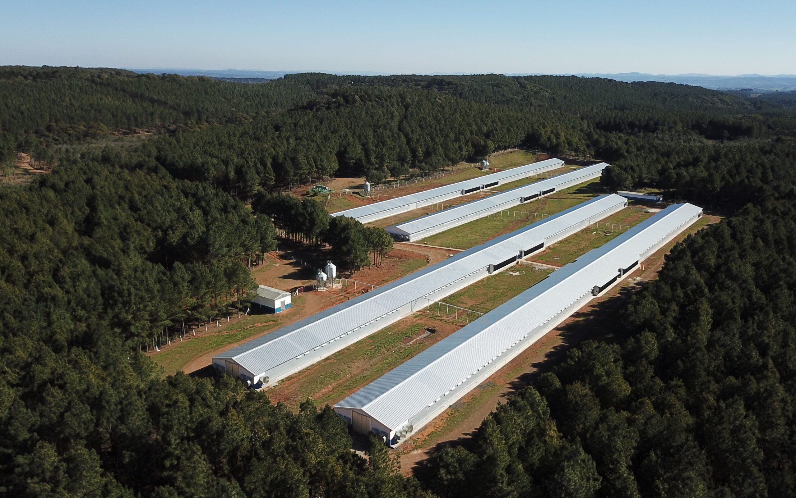 Aviagen América Latina fortalece presença no Brasil com aquisição de granja em Santa Catarina