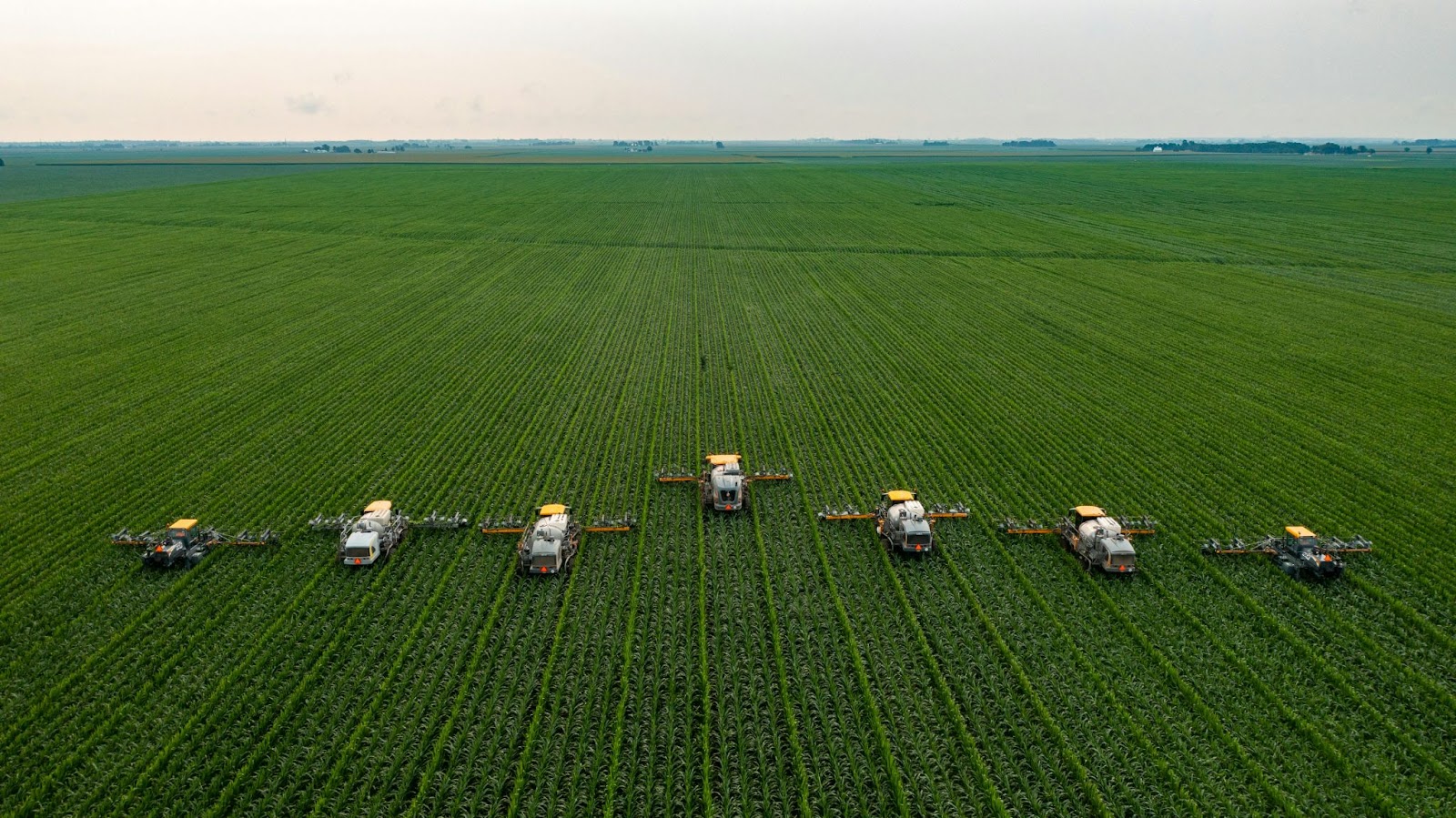 Chat GPT Agro: cientistas desenvolvem IA que vai ajudar produtor rural a tomar decisões mais sustentáveis