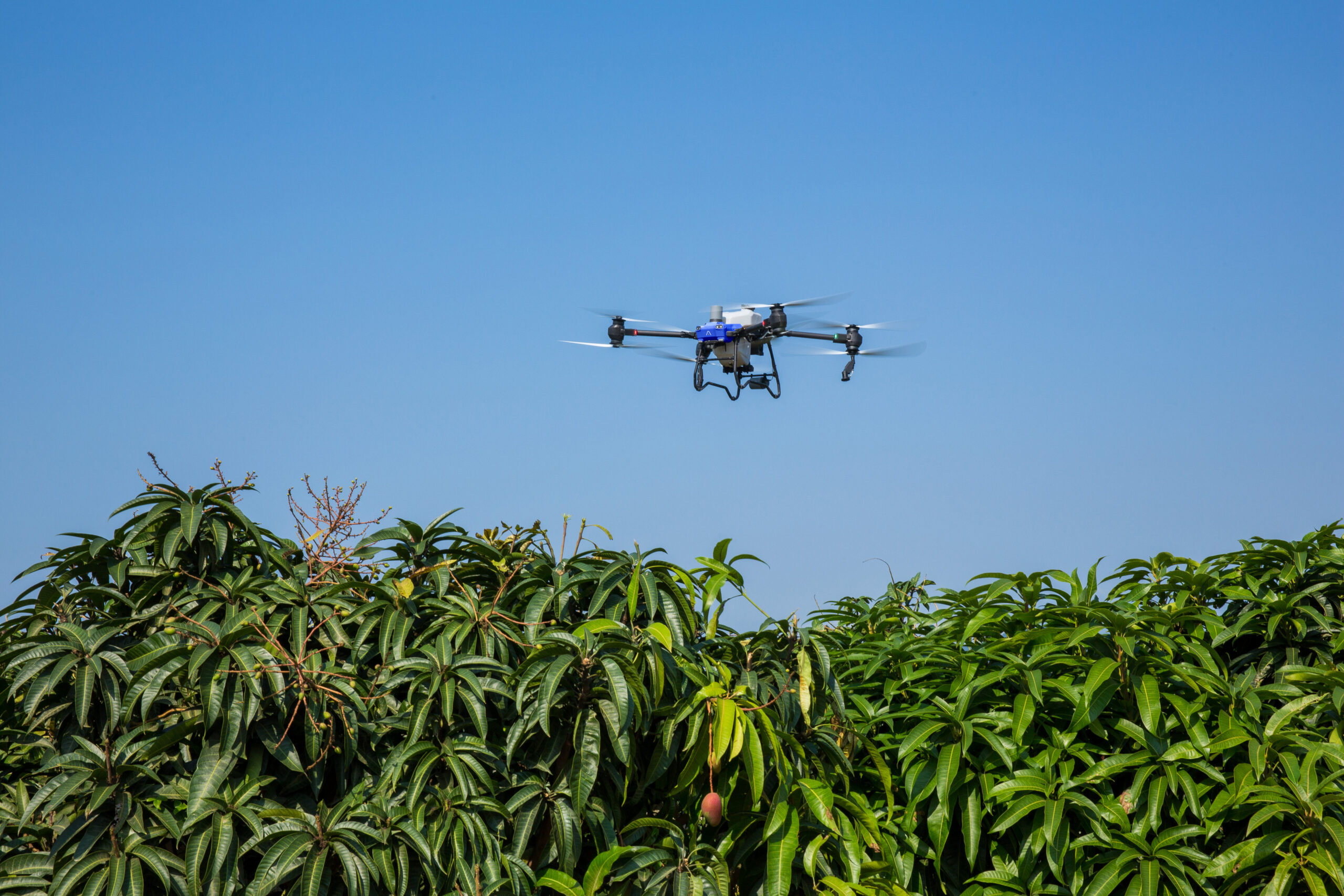 As 5 principais funções dos drones na agricultura