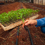 Estabelecimentos comerciais agropecuários devem se cadastrar na Agrodefesa até 31 de dezembro