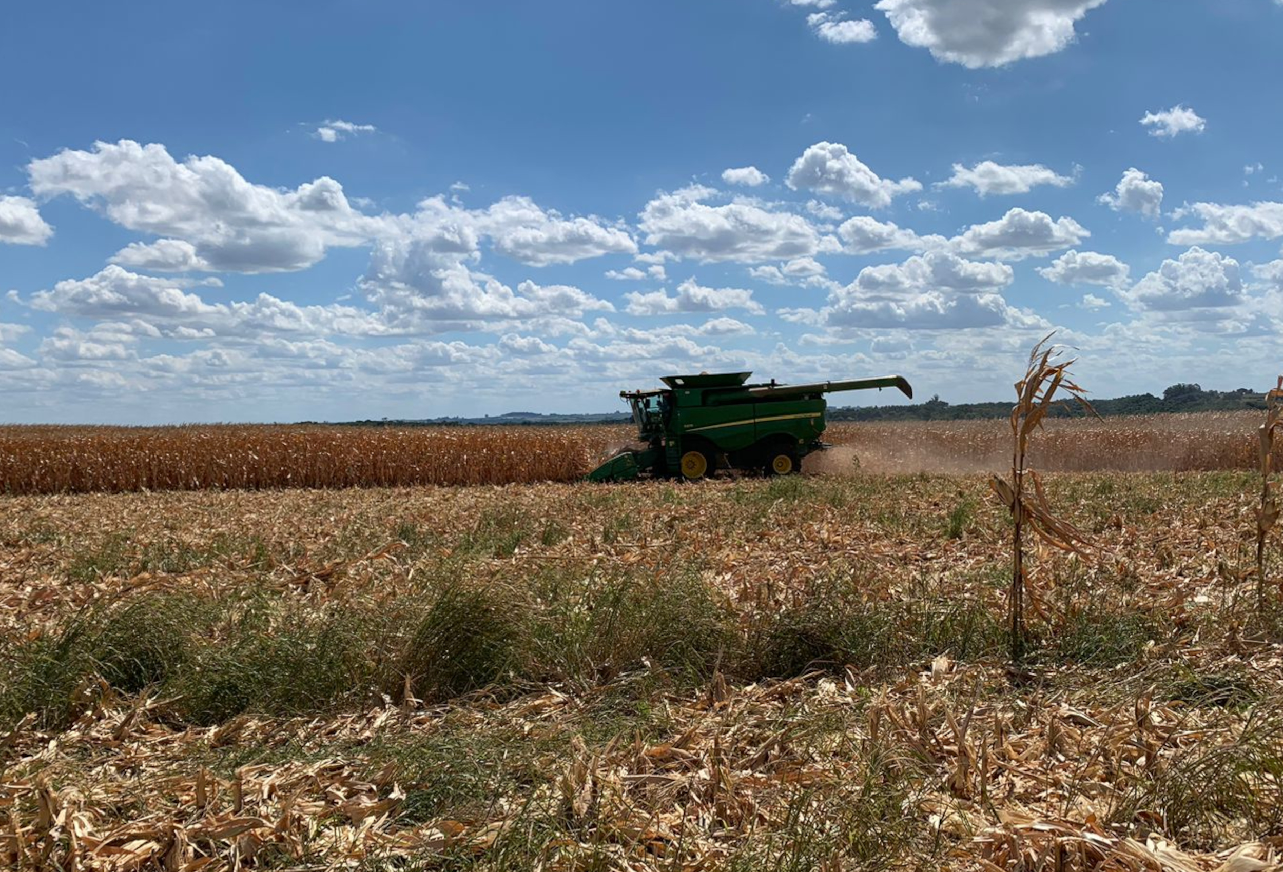 Falta de chuvas no Rio Grande do Sul acende alerta aos produtores