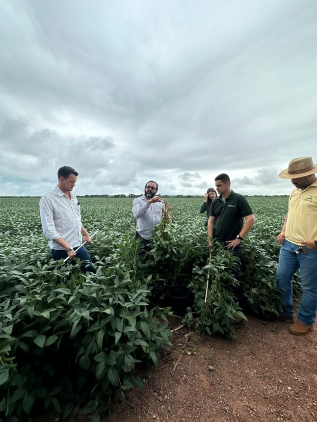 Expedição Regenera: Agrex do Brasil e Gênica realizam ação para capacitar produtores rurais