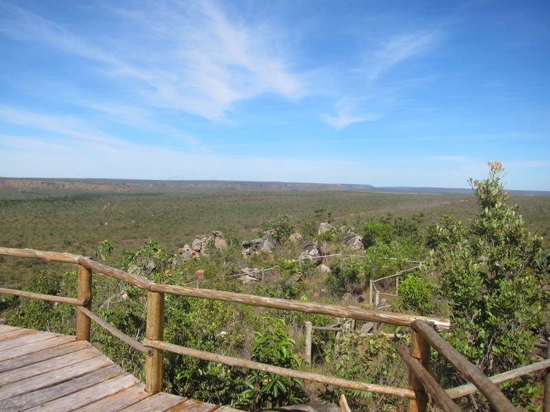 Novas Reservas Particulares do Patrimônio Natural apoiadas pelo Programa COPAÍBAS ampliam conservação no Cerrado