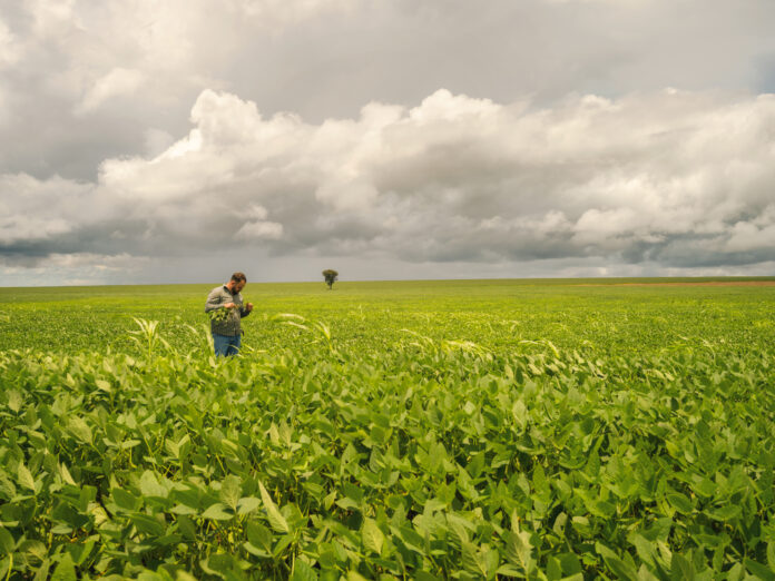 Soja-Clima-instavel-eleva-importancia-de-biodefensivos-na-lavoura-credito-Koppert-Brasil (1)