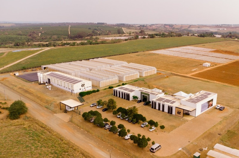 A Importância da distinção entre ferramentas de melhoramento genético para produtores e consumidores