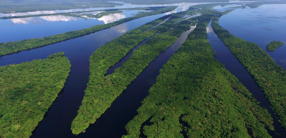 O que o estudo sobre desmatamento na Amazônia como causa da seca ensina sobre os rios voadores