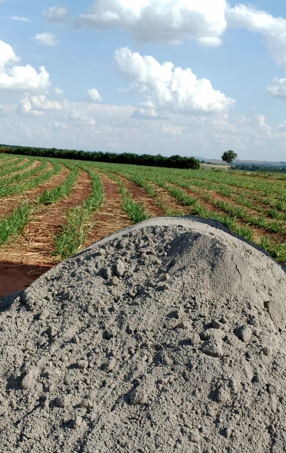 Agrosilicio--2-