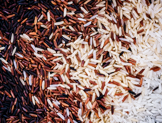 imagem_2025-10-29_082836520