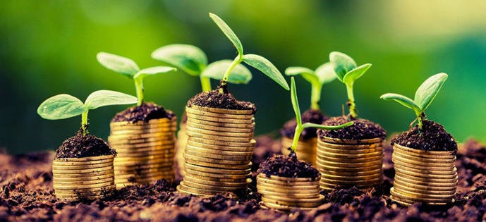 WhatsApp Image 2025-10-30 at 15.27.03