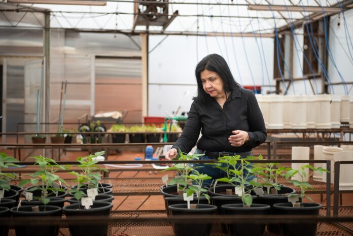 Prêmio Fundação Bunge 2022