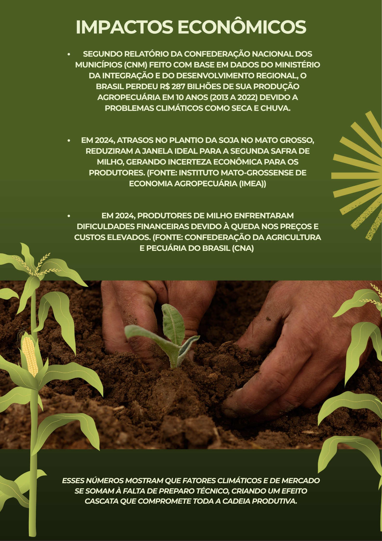 Antes de plantar: o que o produtor precisa saber para garantir produtividade