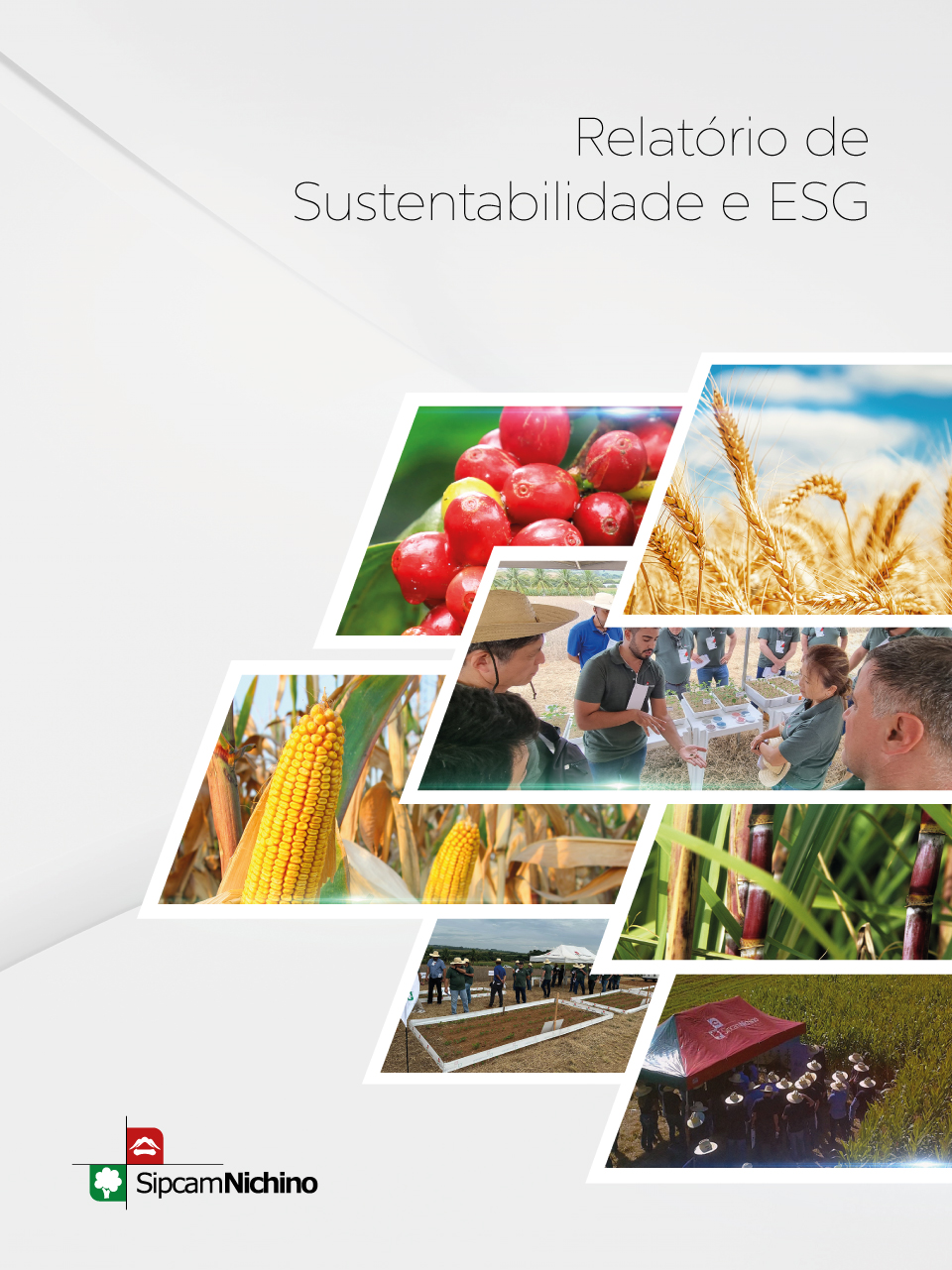 Relatório de Sustentabilidade mostra dados robustos conquistados pela unidade brasileira da Sipcam Nichino