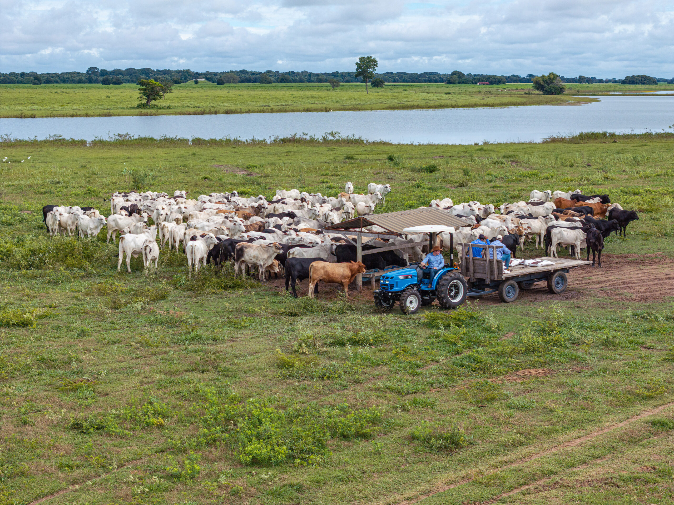 LS Tractor faz pré-lançamentos e reforça soluções de acesso à mecanização no campo