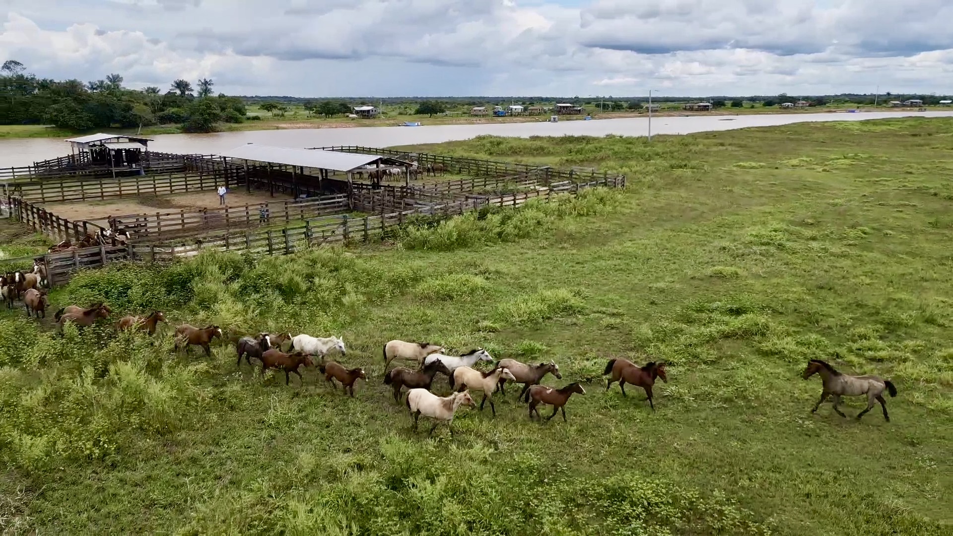 ABCCC mapeia presença do Cavalo Crioulo no norte do Brasil