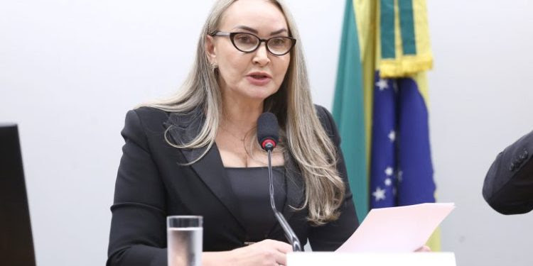 Comissão de Turismo da Câmara será presidida por Daniela Reinehr