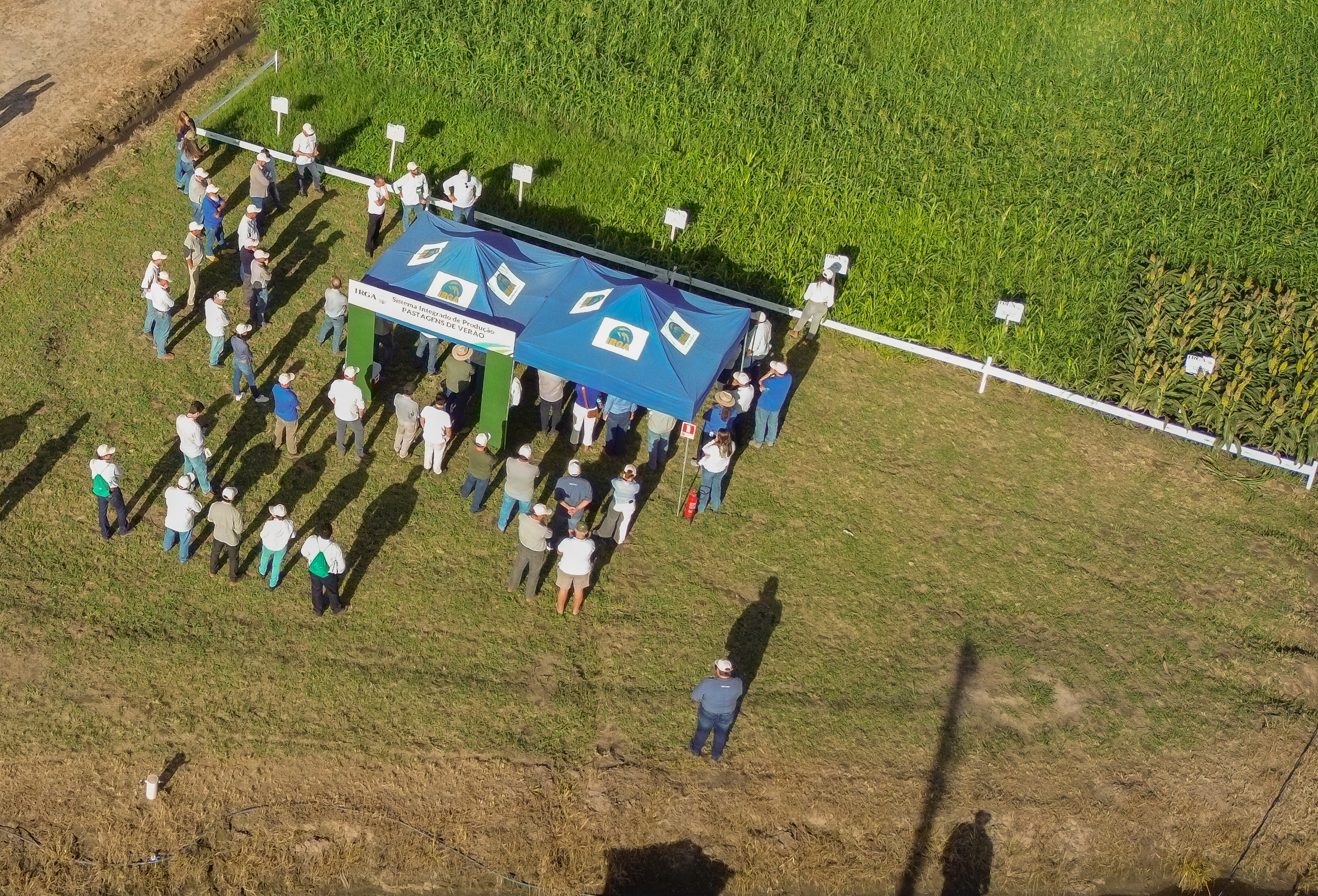 Capão do Leão expõe vitrines com meta de alta produtividade