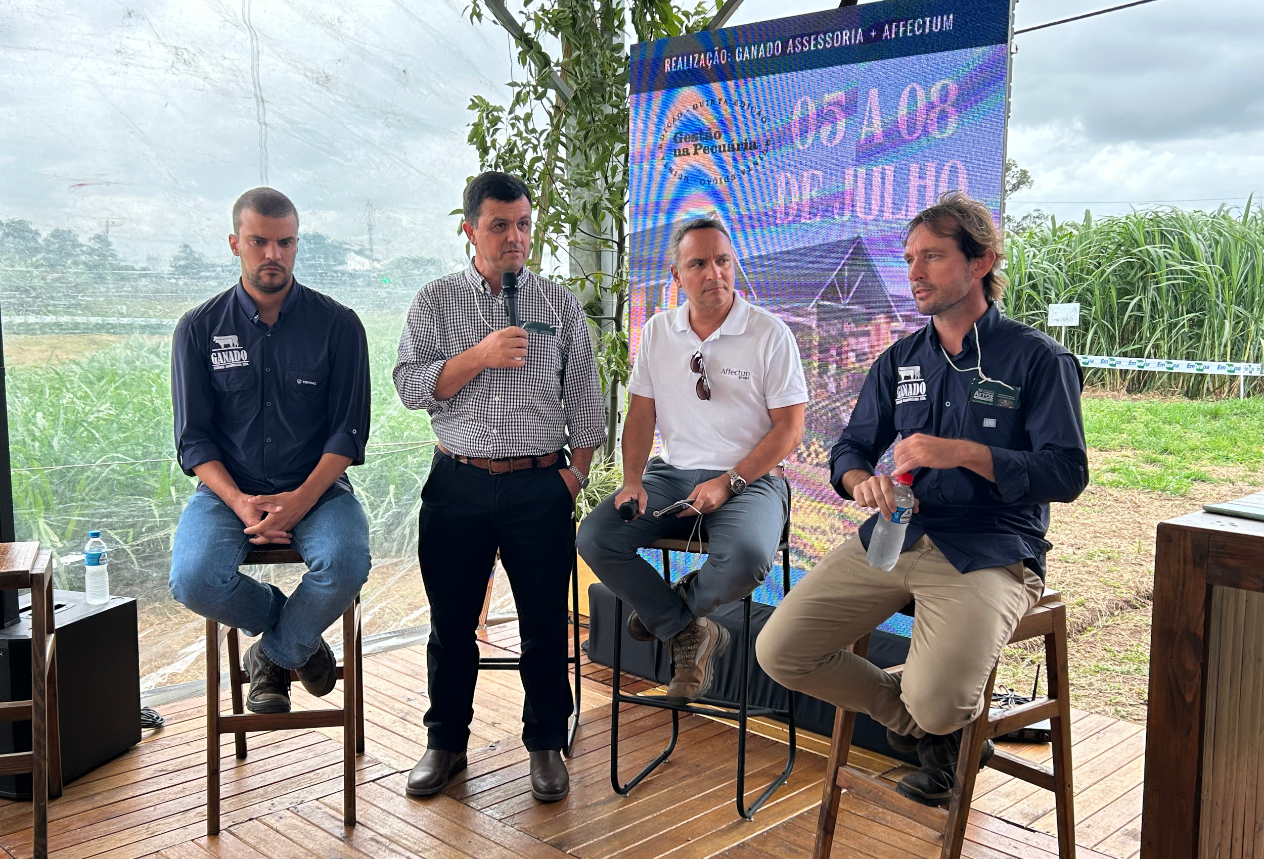 Genética e integração reforçam alternativa à oscilação dos grãos