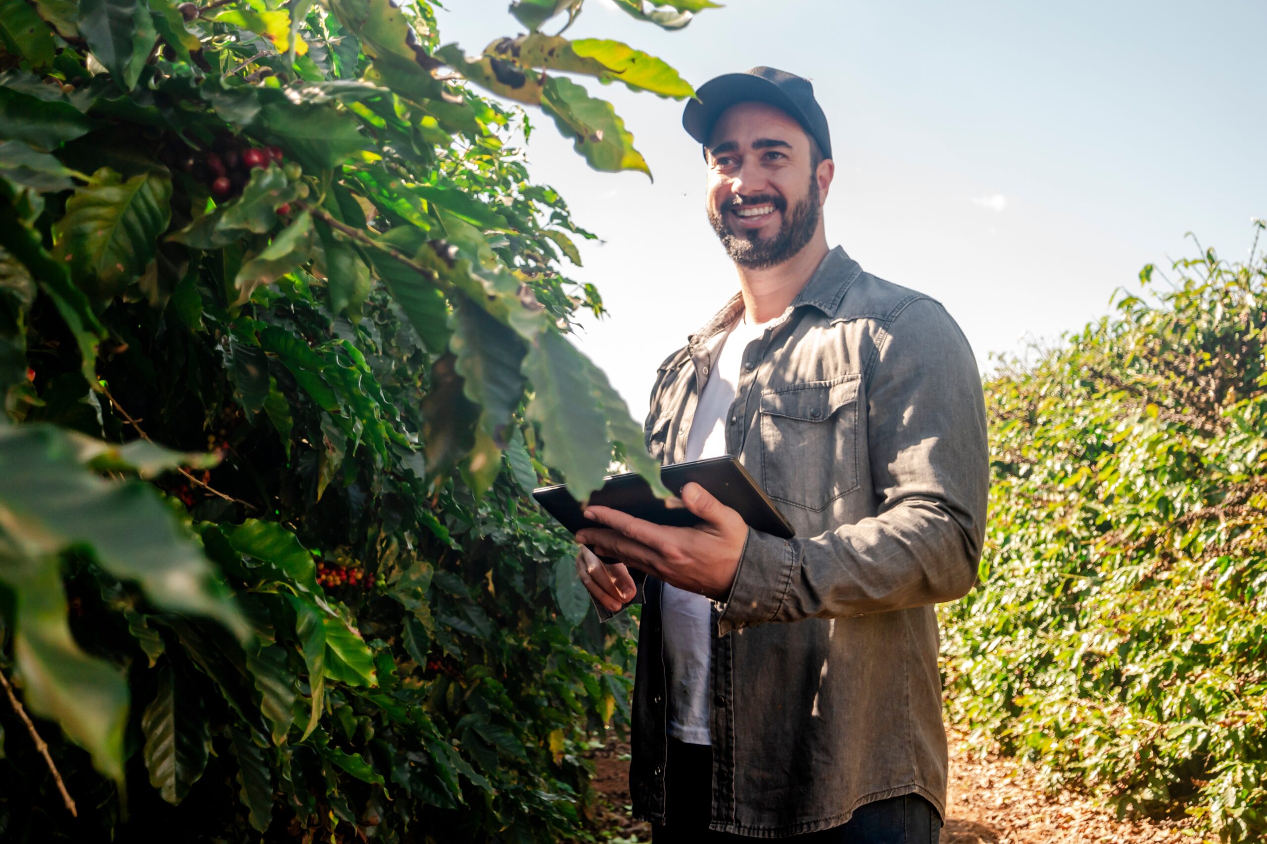 Produtor rural brasileiro mantém resiliência e deve alcançar nova safra recorde mesmo diante de crédito restrito e juros elevados