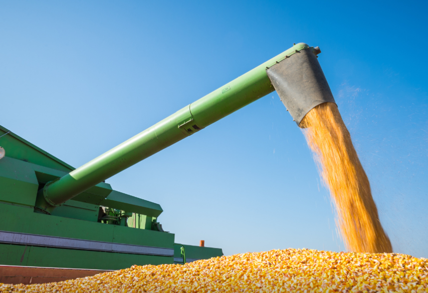 Justiça de Goiás impede apreensão de grãos durante recuperação judicial de produtor rural