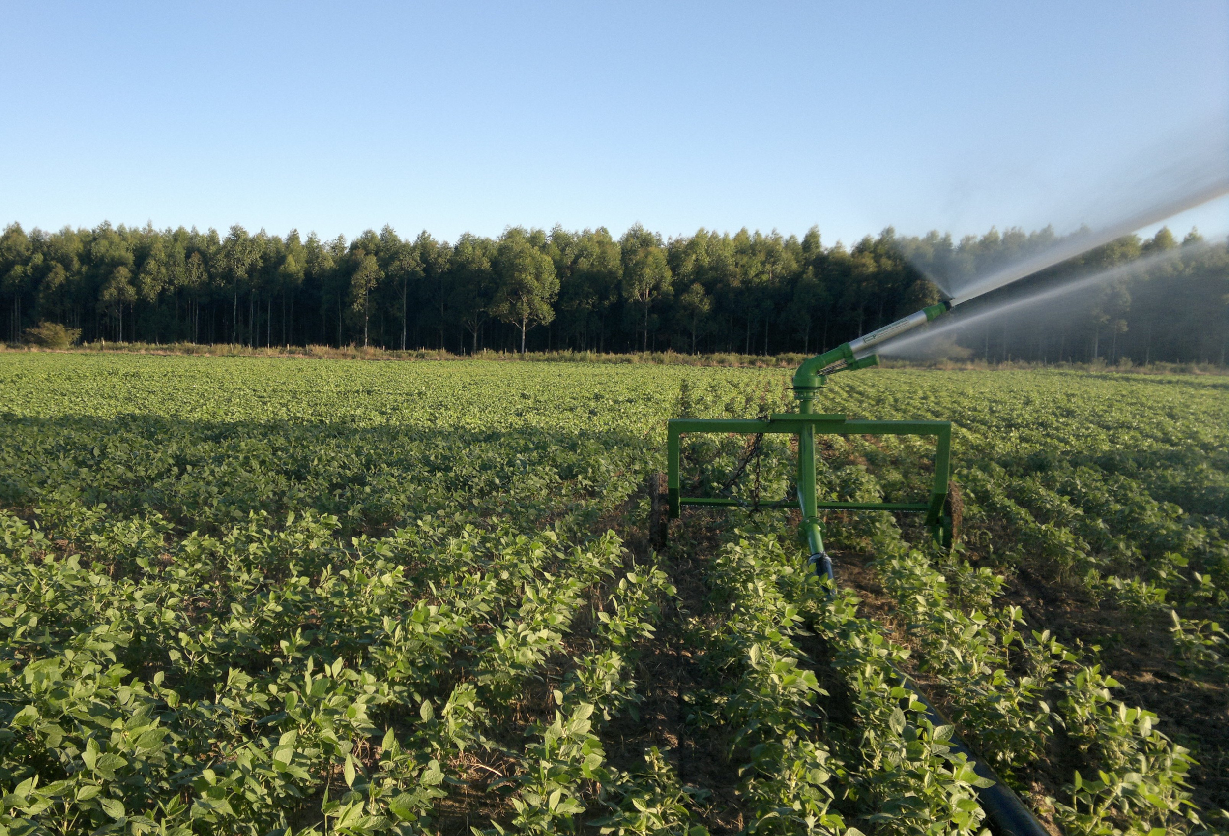 Regra sobre risco em parceria rural vira alvo de questionamentos