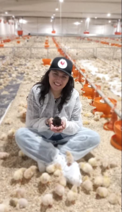 Painel reúne especialistas para discutir gestão e performance na avicultura