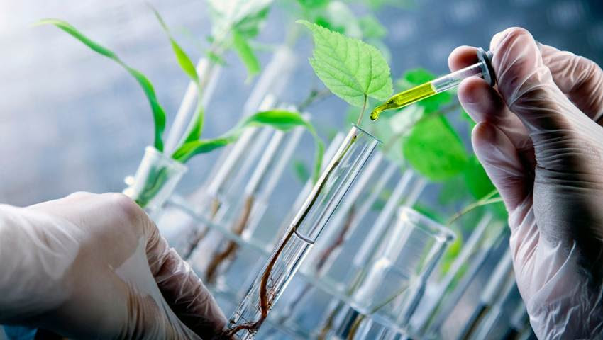 CropData | Acompanhamento de mercado de bioinsumos traz avanço de 28% na área tratada e 15% em valor, em 2025