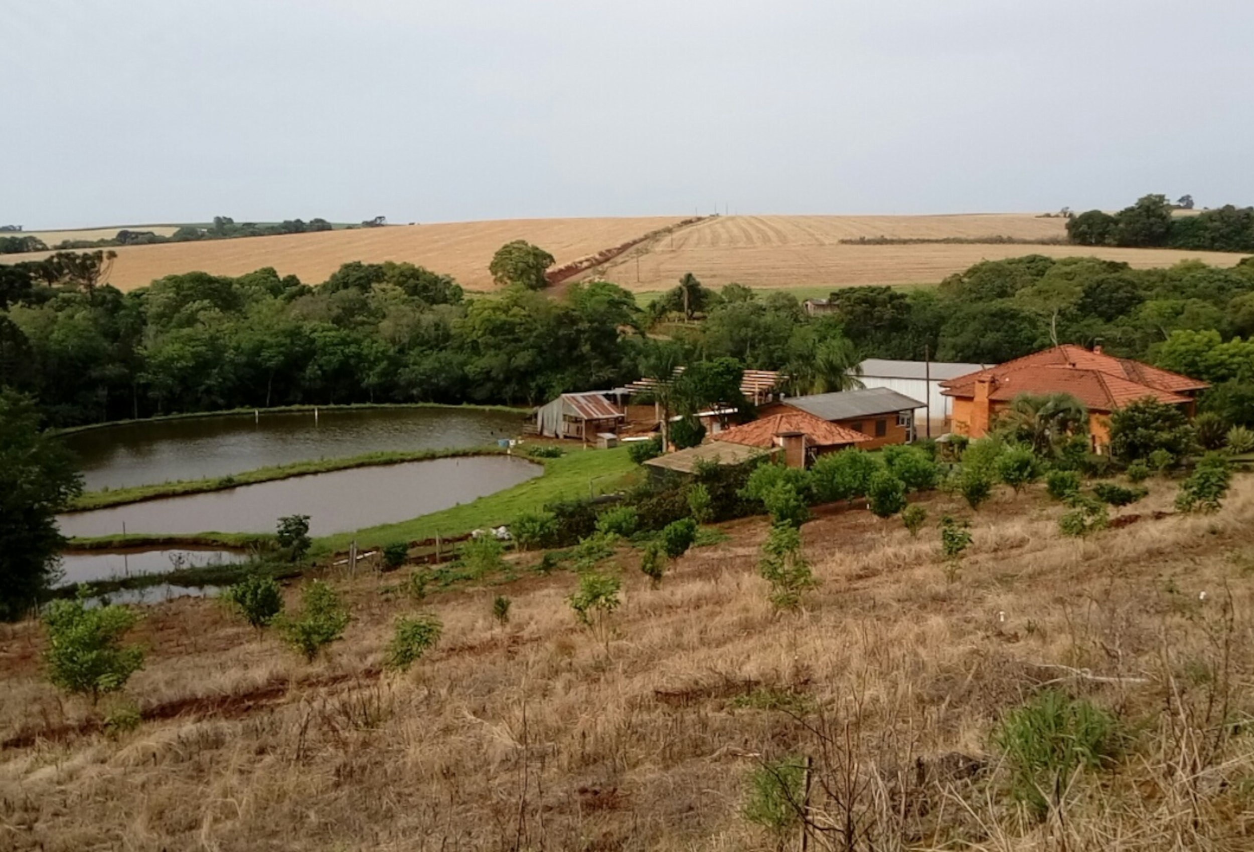 Novo Funrural já vale em abril: quem paga essa conta?