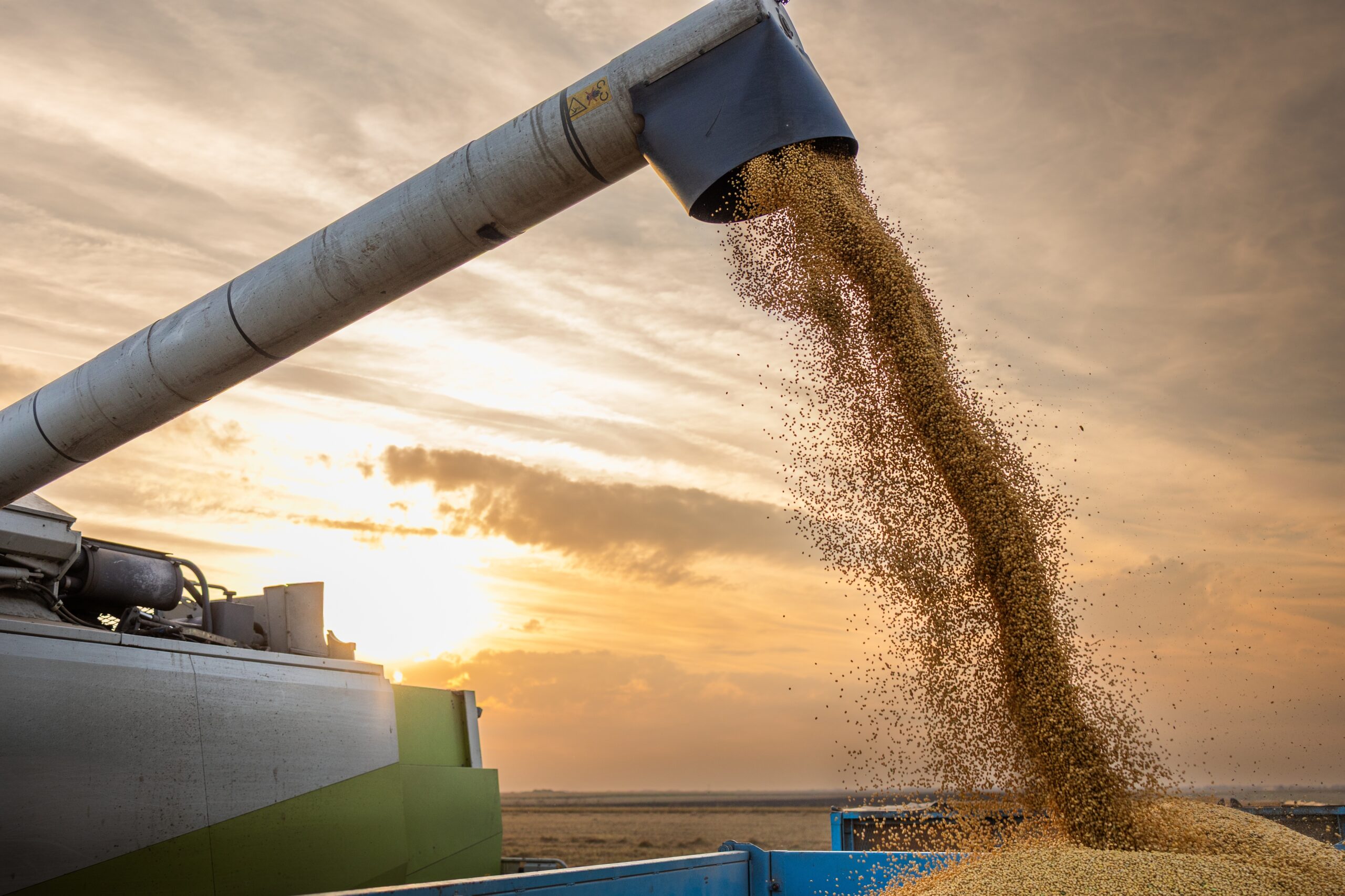 Safra recorde de grãos em 2025/26 pressiona demanda por temporários na “safra de verão”