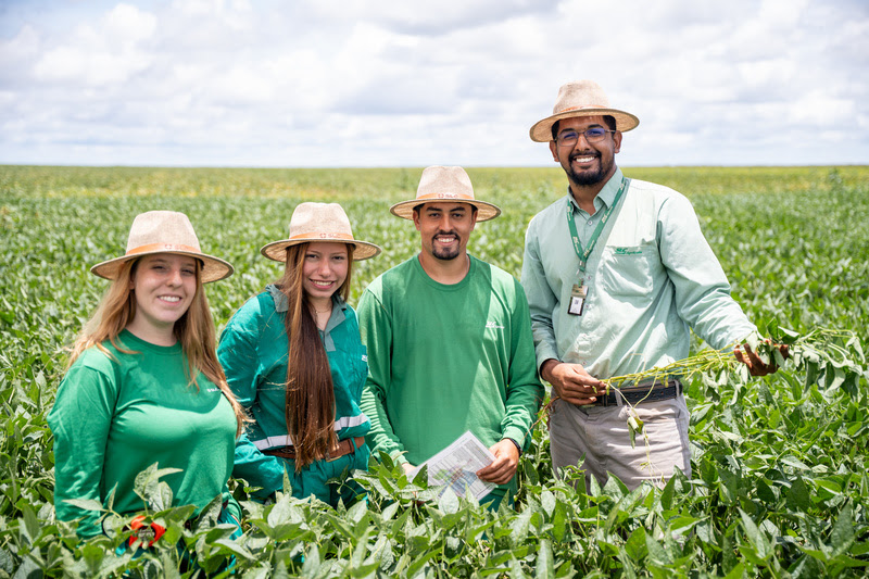 SLC Agrícola abre inscrições para Programa de Estágio edição 2026/2