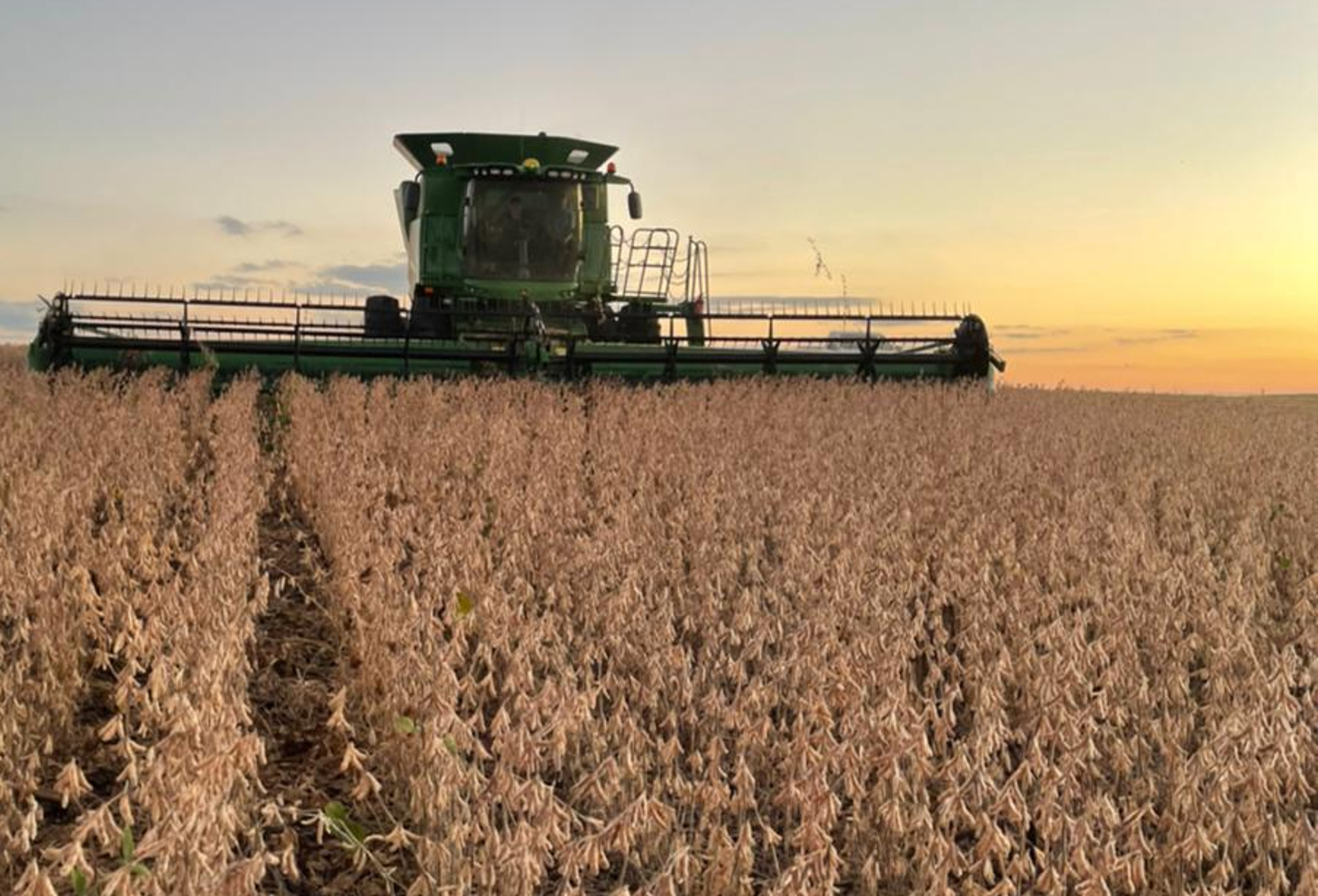 Alerta no campo: falta de laudo trava renegociação e seguro