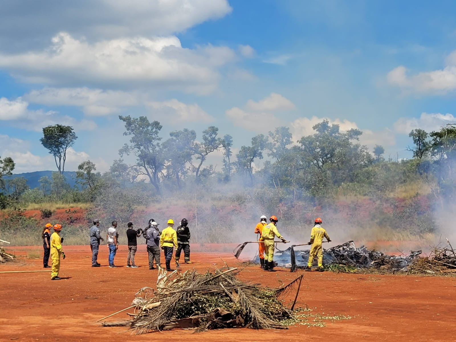 Fundação Florestal mobiliza 243 vagas para brigadistas e investe R$ 19,3 mi contra incêndios florestais