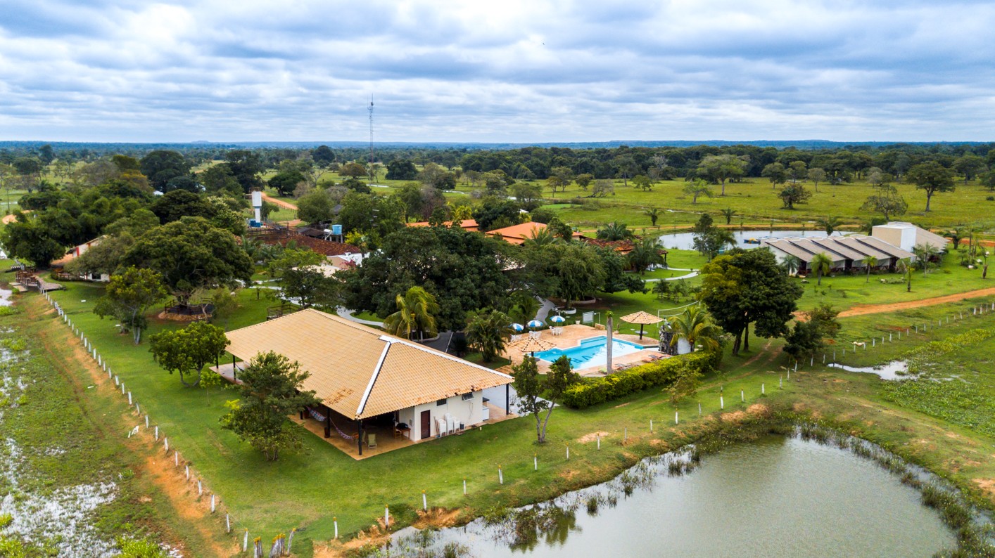 Entre gado e onças, fazenda no Pantanal constrói um novo modelo sustentável
