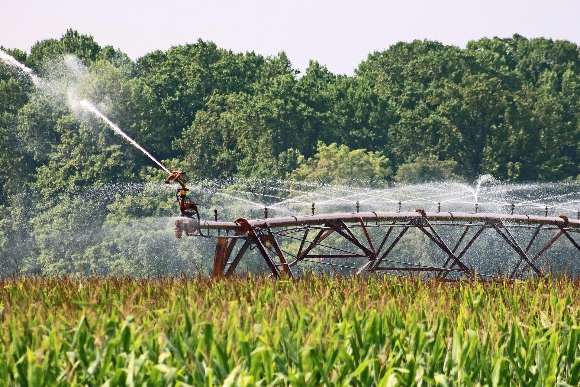 Irrigação gera produtividade e empregos no Brasil, aponta estudo inédito da ABIMAQ e USP/ESALQ