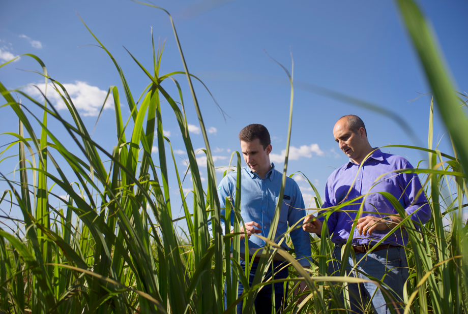 Bayer integra fundo pioneiro de R$ 500 milhões para descarbonização no agronegócio