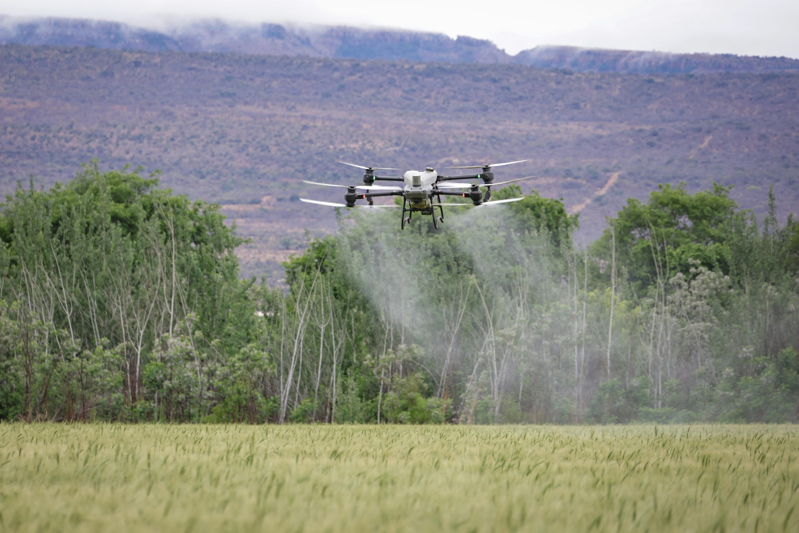 Agro conectado impulsiona avanço das AgTechs e atrai investidores