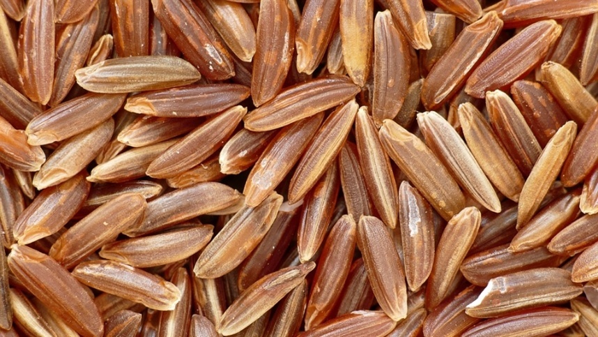 Oferta de arroz barato levanta alerta no setor