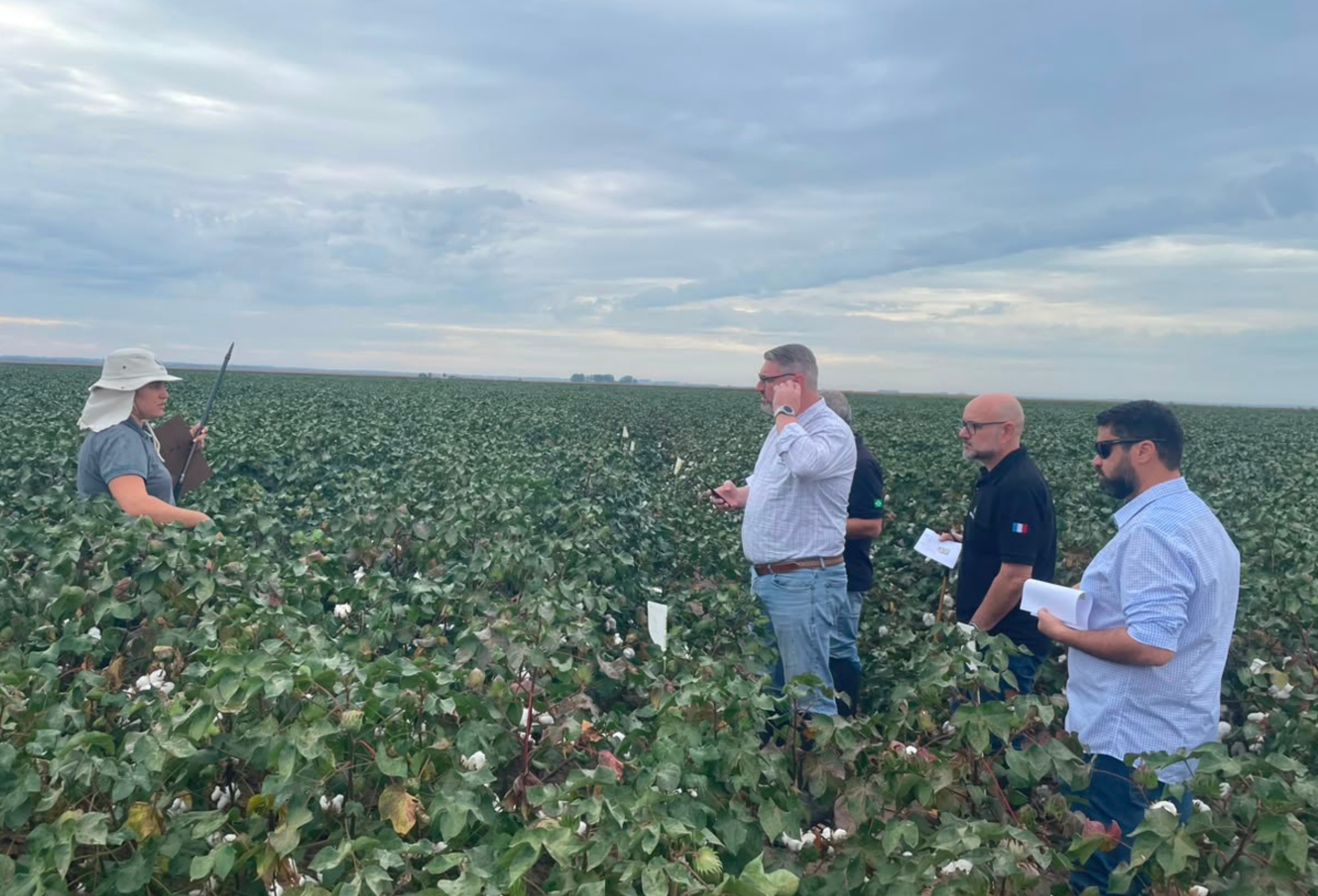 Elicit Plant realiza tour técnico em MT para avaliar manejo e eficiência de produtos no algodão