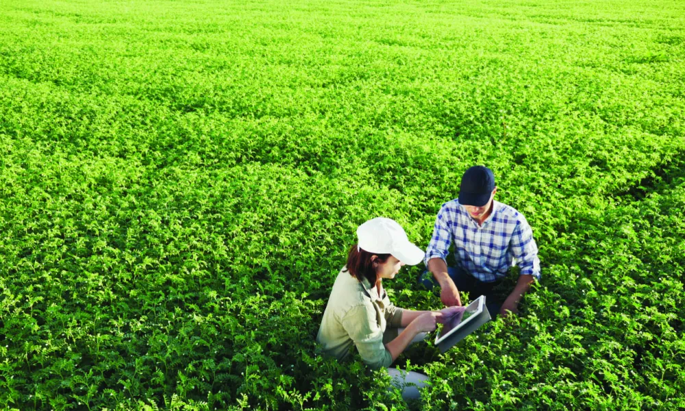 Seguro Rural se destaca em sete países, mas no Brasil ainda é preciso seguir recomendações, segundo estudo do FGV Agro