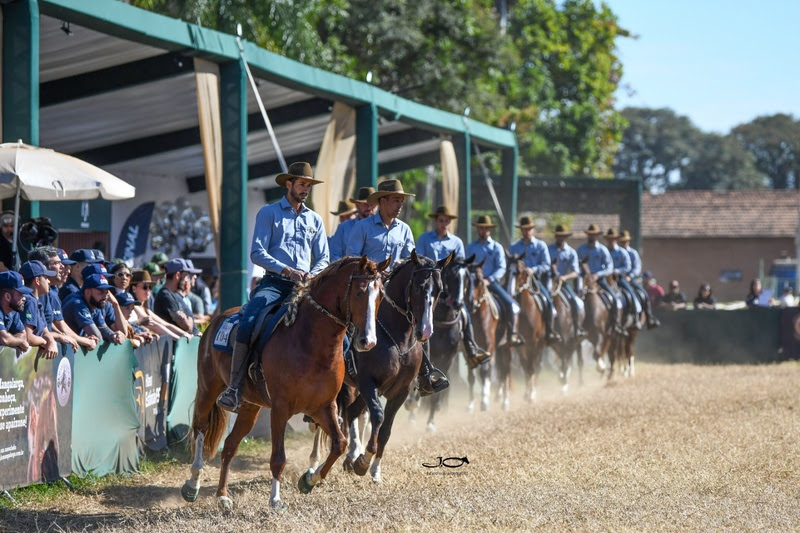 48ª Exposição Nacional do Cavalo Mangalarga  reúne criadores e competições em Tatuí (SP)